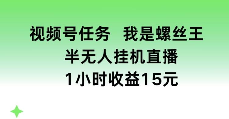 视频号任务，我是螺丝王， 半无人挂机1小时收益15元【揭秘】-87创业网