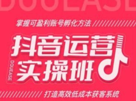 抖音运营实操班，掌握可盈利账号孵化方法，打造高效低成本获客系统-87创业网