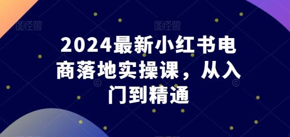 2024最新小红书电商落地实操课，从入门到精通-87创业网