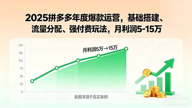 2025拼多多年度爆款运营，基础搭建、流量分配、强付费玩法，月利润5-15万-87创业网