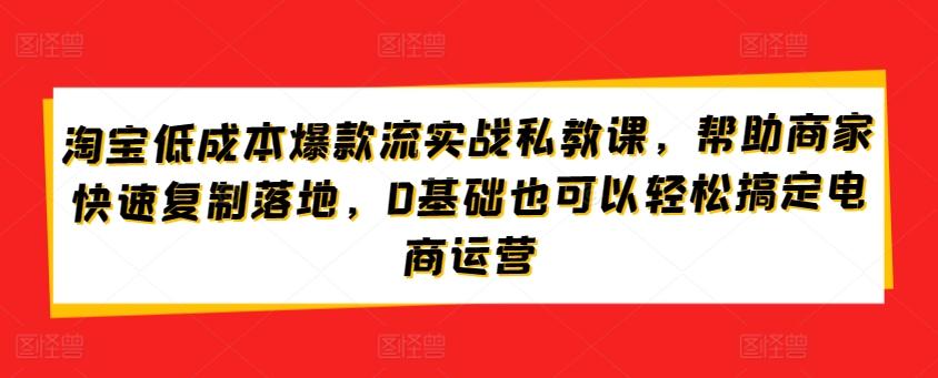 淘宝低成本爆款流实战私教课，帮助商家快速复制落地，0基础也可以轻松搞定电商运营-87创业网