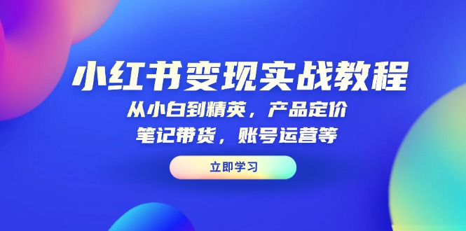 小红书变现实战教程：从小白到精英，产品定价，笔记带货，账号运营等-87创业网