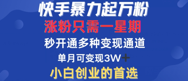 快手暴力起万粉，涨粉只需一星期，多种变现模式，直接秒开万合，单月变现过W【揭秘】-87创业网