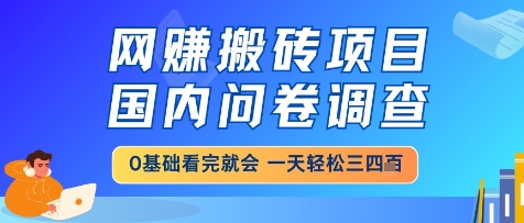 网创搬砖项目，国内问卷调查，小白轻松上手，一天三四张的也不难，干就完了【揭秘】-87创业网