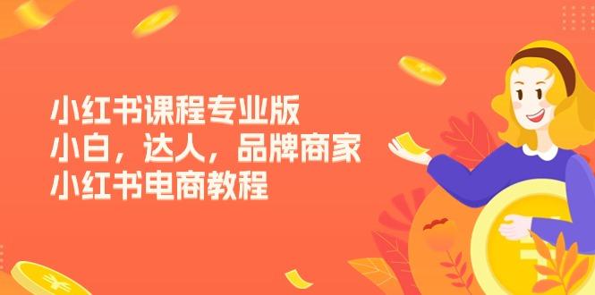 小红书课程专业版，小白，达人，品牌商家，小红书电商教程(15节-87创业网