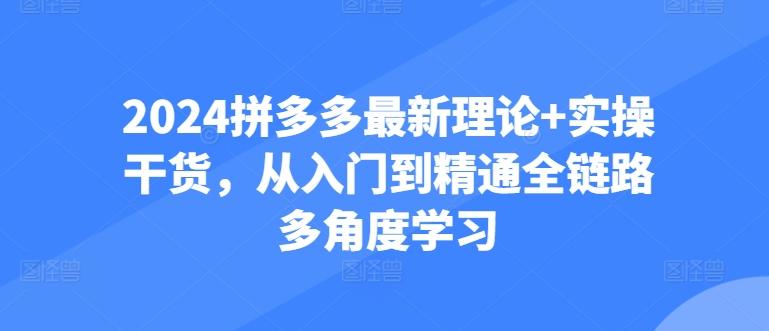 2024拼多多最新理论+实操干货，从入门到精通全链路多角度学习-87创业网