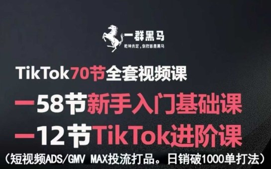 TikTok全套视频课，新手入门+进阶课，短视频ADS-GMV MAX投流打品，日销破1000单打法-87创业网