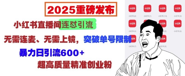 2025重磅发布：小红书直播间连怼引流，无需连麦、无需上镜，突破单号限制，暴力日引流600+-87创业网