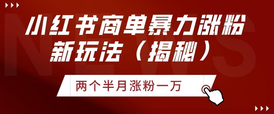 小红书商单暴力涨粉新玩法两个半月涨粉一万（揭秘）-87创业网