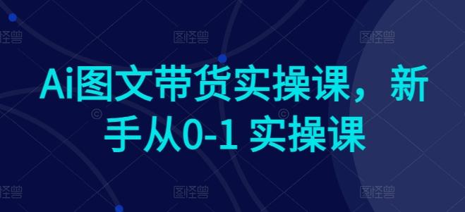 Ai图文带货实操课，新手从0-1 实操课-87创业网