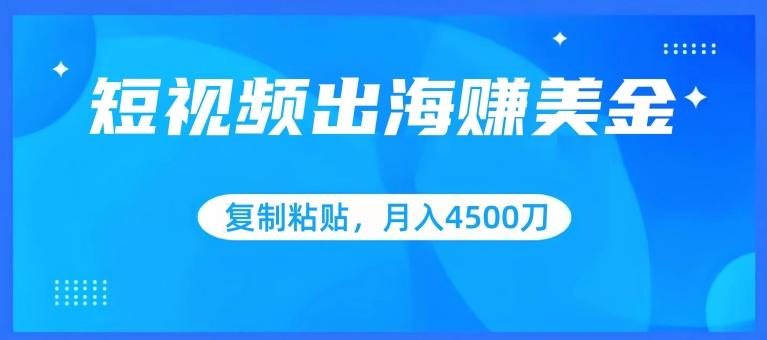 短视频出海赚美金，复制粘贴批量操作，小白轻松掌握，月入4500美刀【揭秘】-87创业网