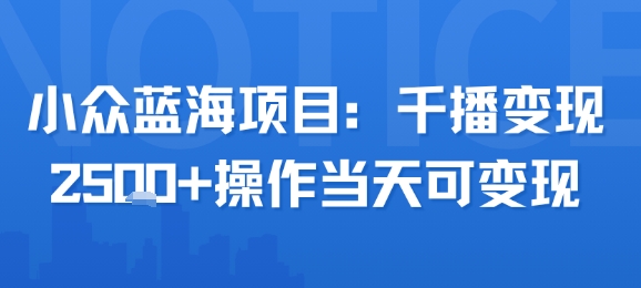 小众蓝海项目，千播变现2.5k+操作当天可变现-87创业网