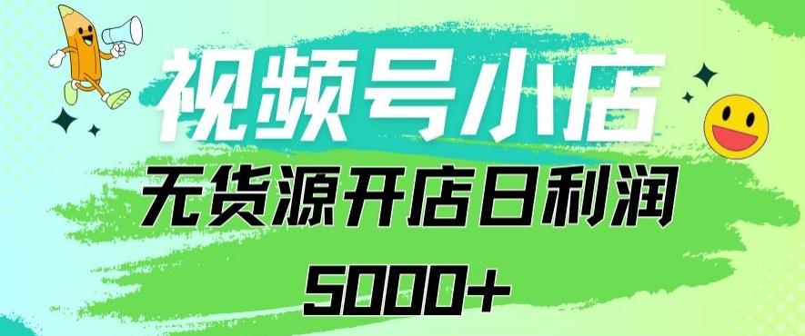 视频号无货源小店从0到1日订单量千单以上纯利润稳稳5000+【揭秘】-87创业网