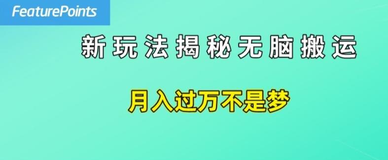 简单操作，每天50美元收入，搬运就是赚钱的秘诀【揭秘】-87创业网