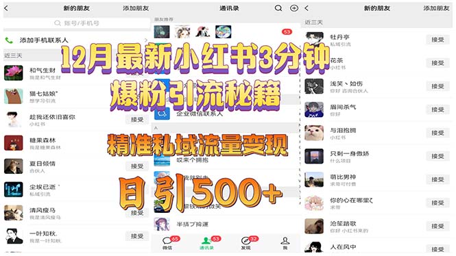 12月最新小红书3分钟爆粉引流秘籍 精准私域流量变现 日引500+-87创业网