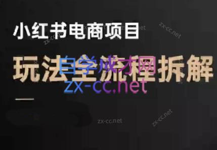 菲菲老师·小红书电商玩法(更新7月)-87创业网