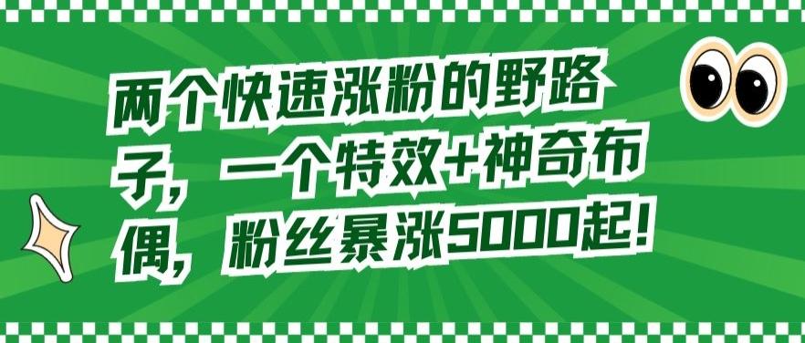 两个快速涨粉的野路子，一个特效+神奇布偶，粉丝暴涨5000起【揭秘】-87创业网