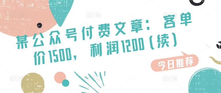 某公众号付费文章：客单价1500，利润1200(续)，市场几乎可以说是空白的-87创业网