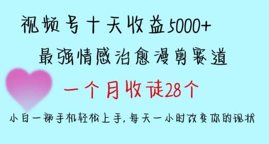 十天收益5000+，多平台捞金，视频号情感治愈漫剪，一个月收徒28个，小白一部手机轻松上手【揭秘】-87创业网