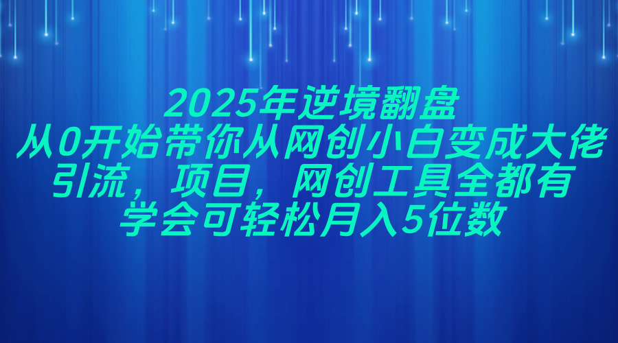 2025年逆境翻盘，从0开始带你从网创小白变成大佬，引流，项目，网创工…-87创业网