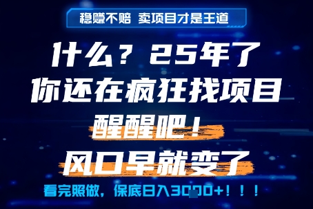 什么？25年你还在疯狂找项目做，醒醒吧，看完这些你全都懂了！【揭秘】-87创业网