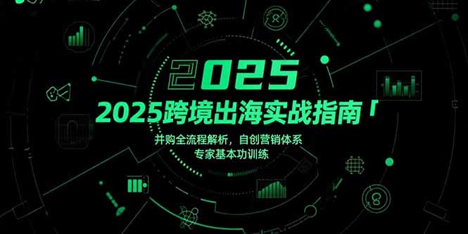 2025跨境出海实战指南，并购全流程解析，自创营销体系，专家基本功训练-87创业网