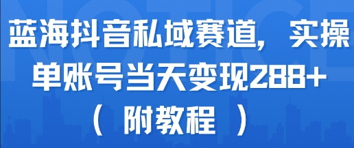 蓝海抖音私域赛道，实操单账号当天变现288+(附教程)-87创业网