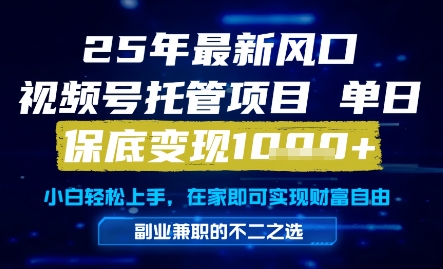 25年最新风口，视频号托管项目，单日保底变现1k+，手把手教学【揭秘】-87创业网
