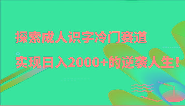 探索成人识字冷门赛道，实现日入2000+的逆袭人生！-87创业网