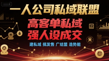 一人公司私域联盟，高客单私域，强人设成交，建私域 搞发售 广结盟 造势能-87创业网