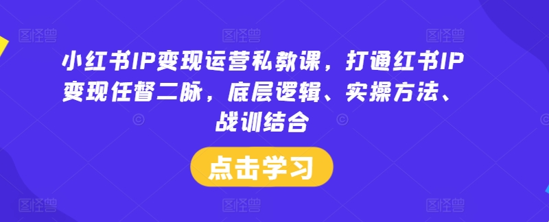 小红书IP变现运营私教课，打通红书IP变现任督二脉，底层逻辑、实操方法、战训结合-87创业网