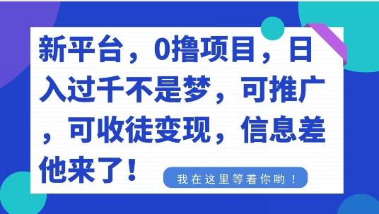 不要再花冤枉钱了，0撸项目，每天坚持，稳定1000+-87创业网