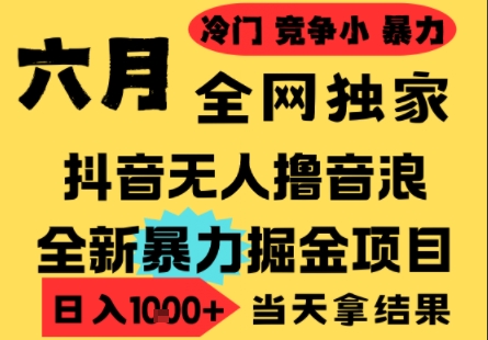 25年6月高爆抖音无人直播最新撸音浪掘金项目，小白可做，无脑日入1k+，门槛低可批量矩阵【揭秘】-87创业网