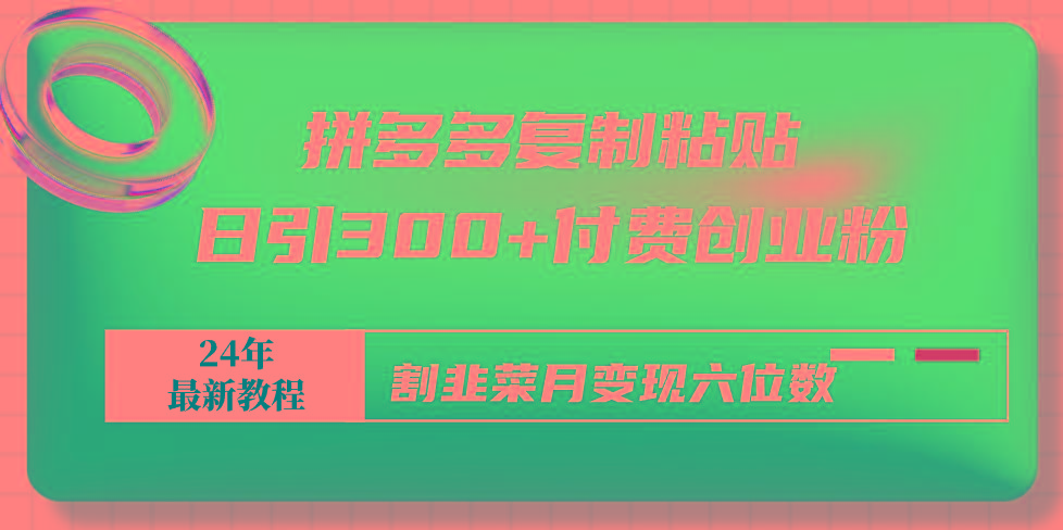 拼多多复制粘贴日引300+付费创业粉，割韭菜月变现六位数最新教程！-87创业网