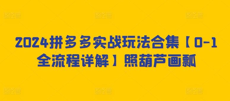 2024拼多多实战玩法合集【0-1全流程详解】照葫芦画瓢-87创业网