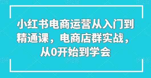 小红书电商运营从入门到精通课，电商店群实战，从0开始到学会-87创业网