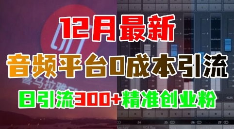 12月最新：音频平台0成本引流，日引流300+精准创业粉-87创业网