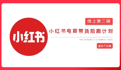 2025小红书虚拟电商实战课，从0到1打造无货源店铺，AI+爆款笔记轻松变现-87创业网