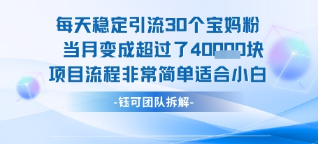 每天稳定引流30个人 当月变成超过了4个W项目流程非常简单适合小白-87创业网