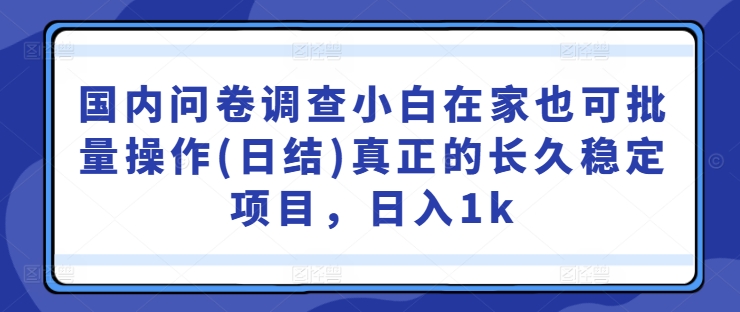 国内问卷调查小白在家也可批量操作(日结)真正的长久稳定项目，日入1k【揭秘】-87创业网