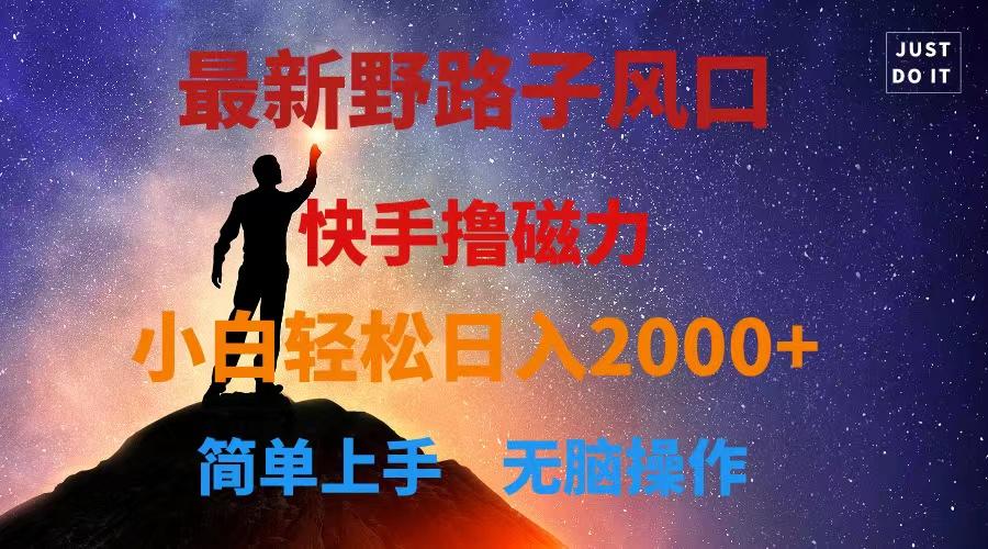 最新风口！快手撸磁力，野路子，小白无脑操作日入2000+-87创业网