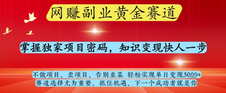 网创副业黄全赛道，掌握独家项目密码，知识变现快人一步，告别韭菜轻松实现单日变现1k+【揭秘】-87创业网