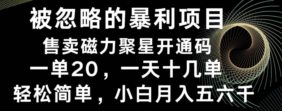 被忽略的暴利项目！售卖磁力聚星开通码，一单20，一天十几单，轻松月入五六千-87创业网