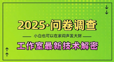 2025问卷调查最新工作室技术解密：一个人在家也可以闷声发大财，小白一天2张，可矩阵放大【揭秘】-87创业网