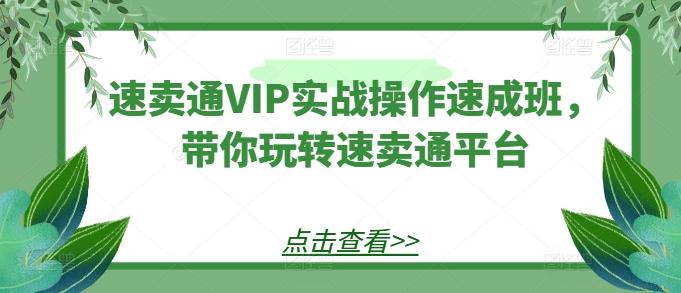 速卖通VIP实战操作速成班，带你玩转速卖通平台-87创业网