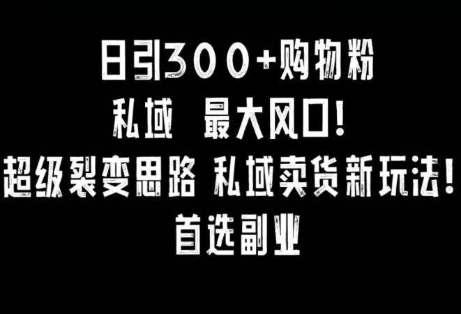 日引300+购物粉，超级裂变思路，私域卖货新玩法，小红书首选副业【揭秘】-87创业网