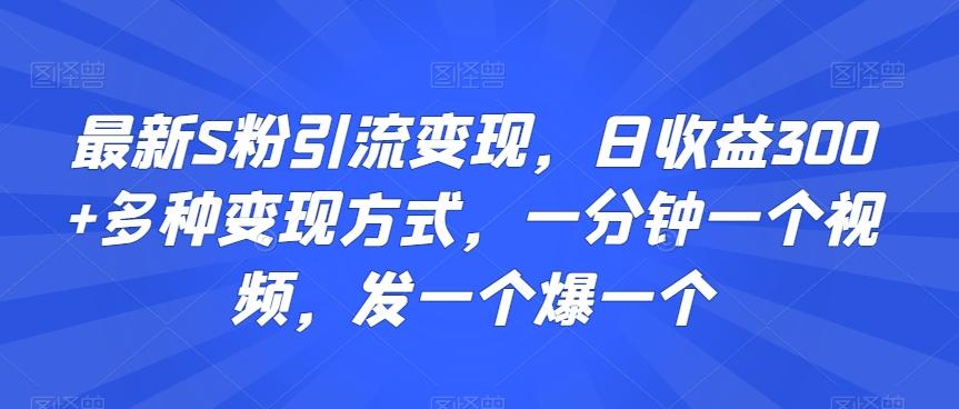 最新S粉引流变现，日收益300+多种变现方式，一分钟一个视频，发一个爆一个【揭秘】-87创业网