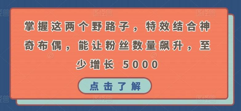 掌握这两个野路子，特效结合神奇布偶，能让粉丝数量飙升，至少增长 5000【揭秘】-87创业网