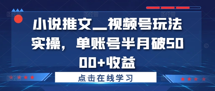 小说推文—视频号玩法实操，单账号半月破5000+收益-87创业网