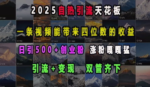 2025自热引流天花板，一条视频能带来四位数的收益，引流+变现双管齐下，日引500+创业粉，涨粉嘎嘎猛-87创业网